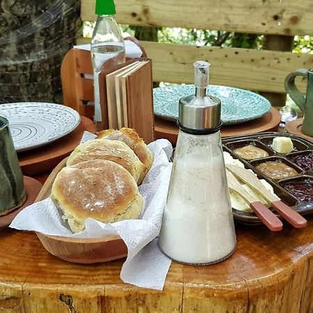 Отель Cabanas Bosques De Loncotraro Вильяррика Экстерьер фото