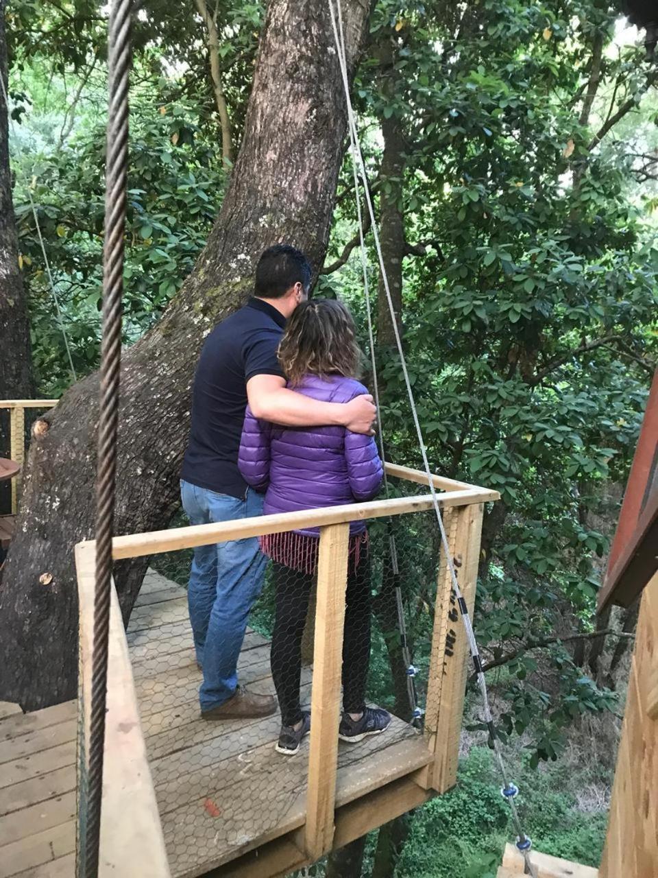 Отель Cabanas Bosques De Loncotraro Вильяррика Экстерьер фото