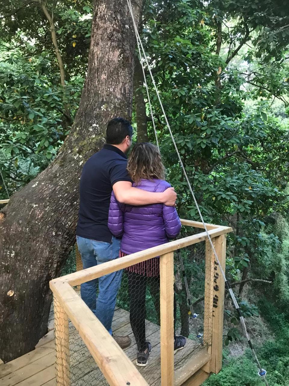 Отель Cabanas Bosques De Loncotraro Вильяррика Экстерьер фото