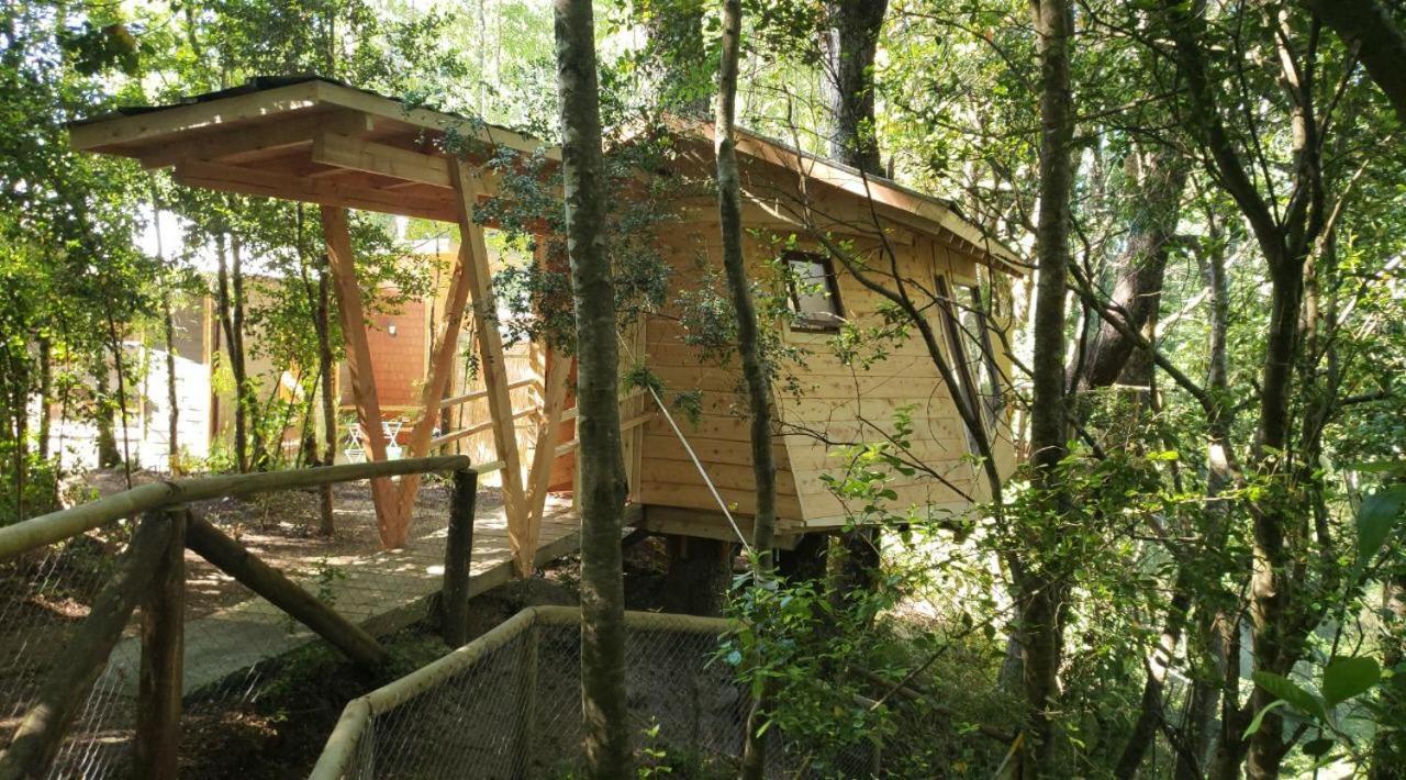 Отель Cabanas Bosques De Loncotraro Вильяррика Экстерьер фото