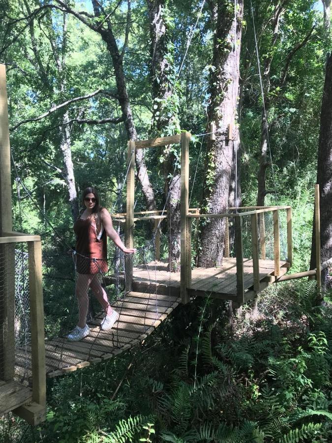 Отель Cabanas Bosques De Loncotraro Вильяррика Экстерьер фото