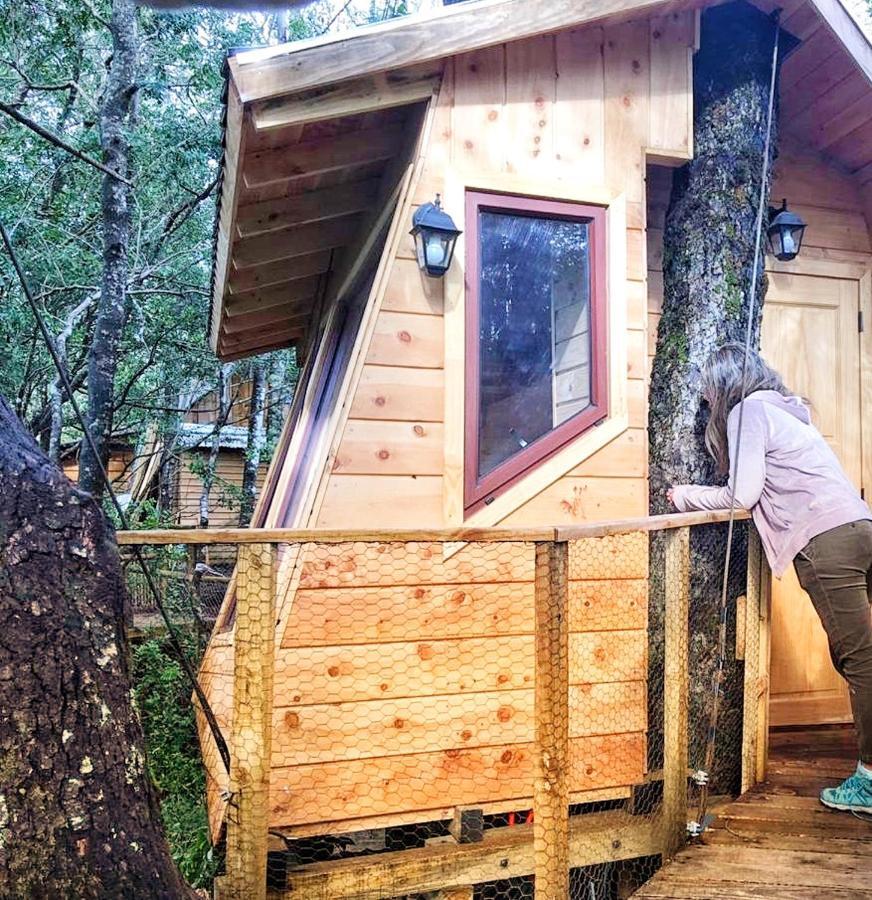 Отель Cabanas Bosques De Loncotraro Вильяррика Экстерьер фото