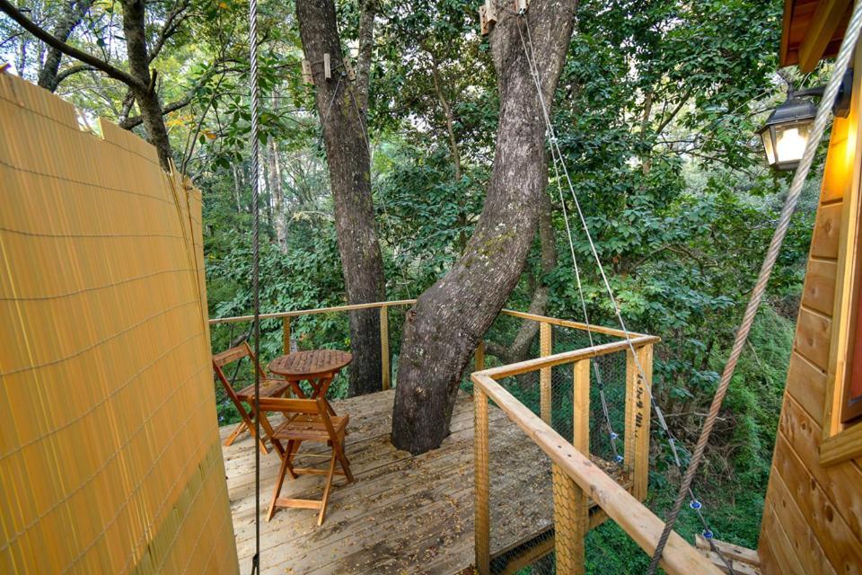 Отель Cabanas Bosques De Loncotraro Вильяррика Экстерьер фото