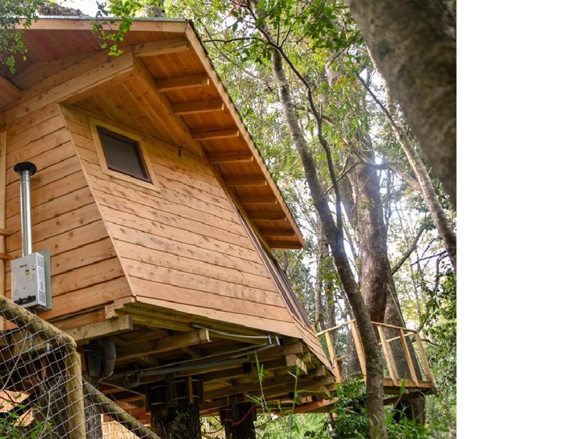 Отель Cabanas Bosques De Loncotraro Вильяррика Экстерьер фото