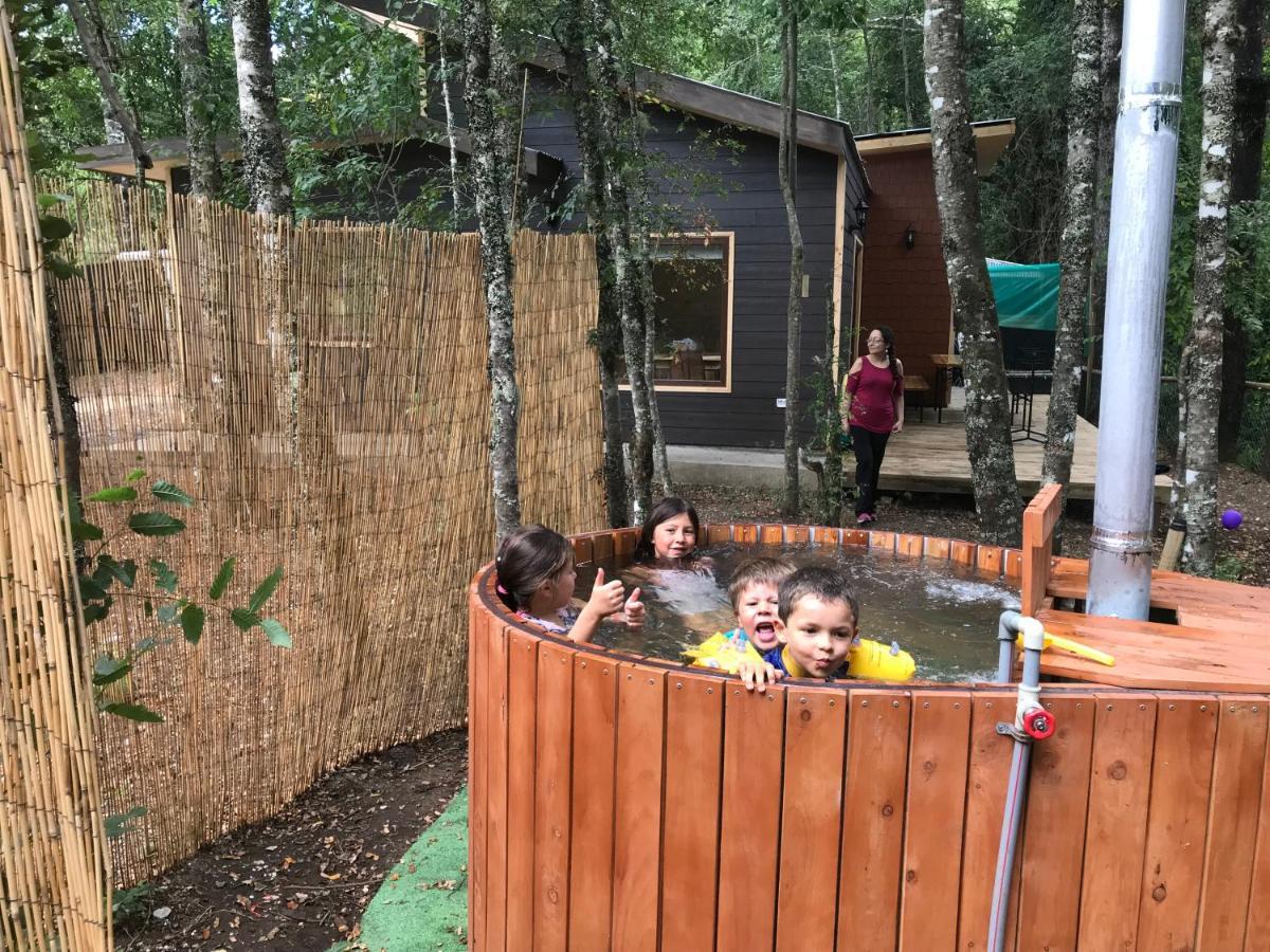 Отель Cabanas Bosques De Loncotraro Вильяррика Экстерьер фото
