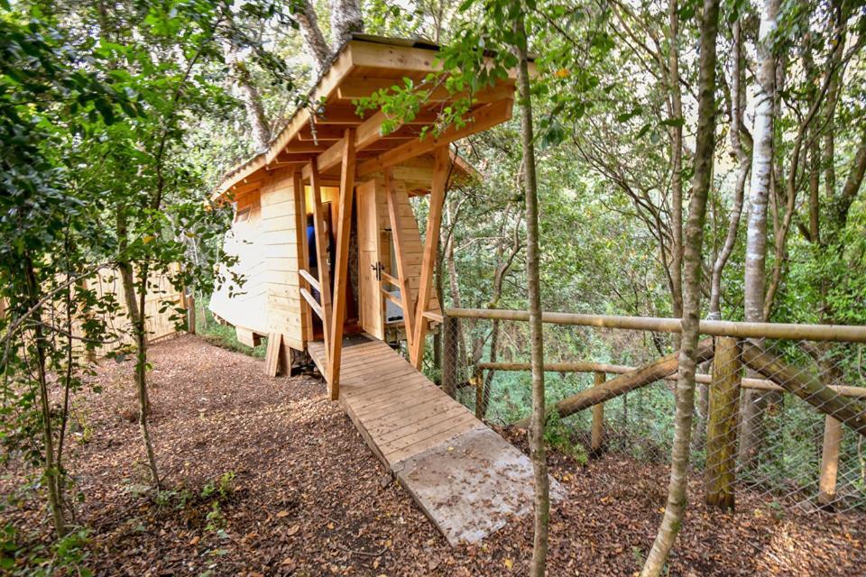 Отель Cabanas Bosques De Loncotraro Вильяррика Экстерьер фото