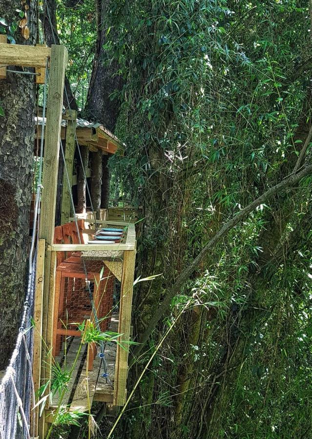 Отель Cabanas Bosques De Loncotraro Вильяррика Экстерьер фото