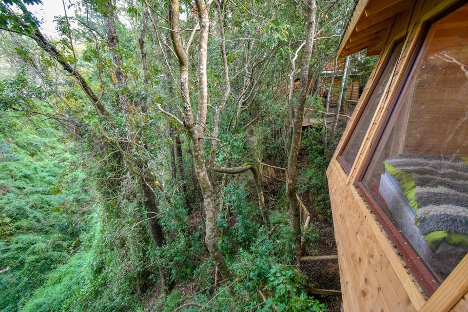 Отель Cabanas Bosques De Loncotraro Вильяррика Экстерьер фото