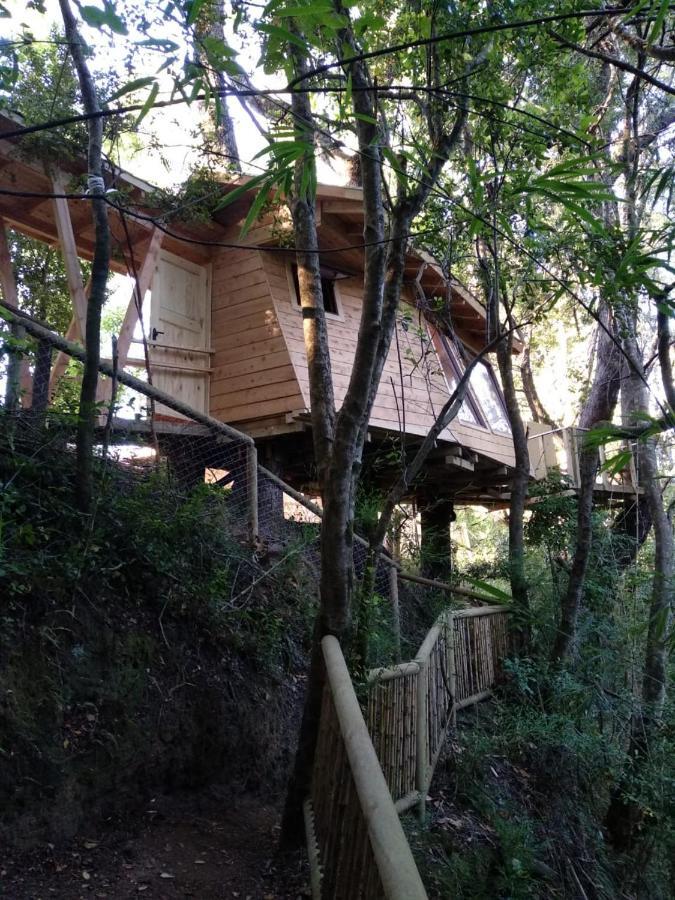 Отель Cabanas Bosques De Loncotraro Вильяррика Экстерьер фото