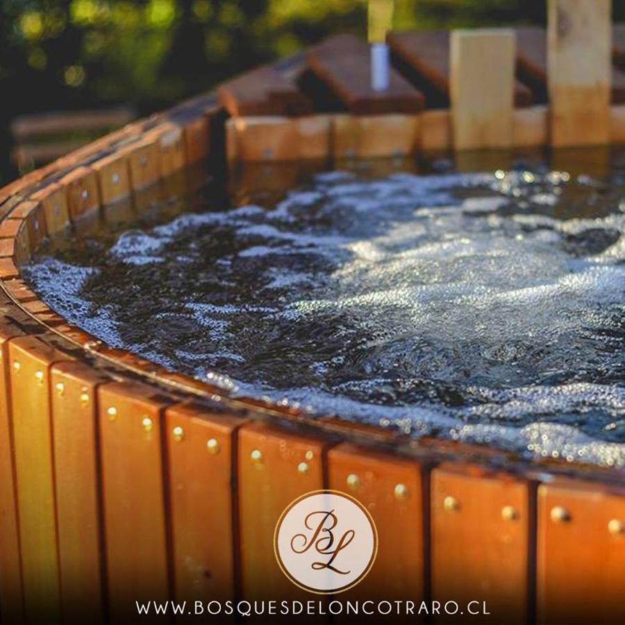Отель Cabanas Bosques De Loncotraro Вильяррика Экстерьер фото